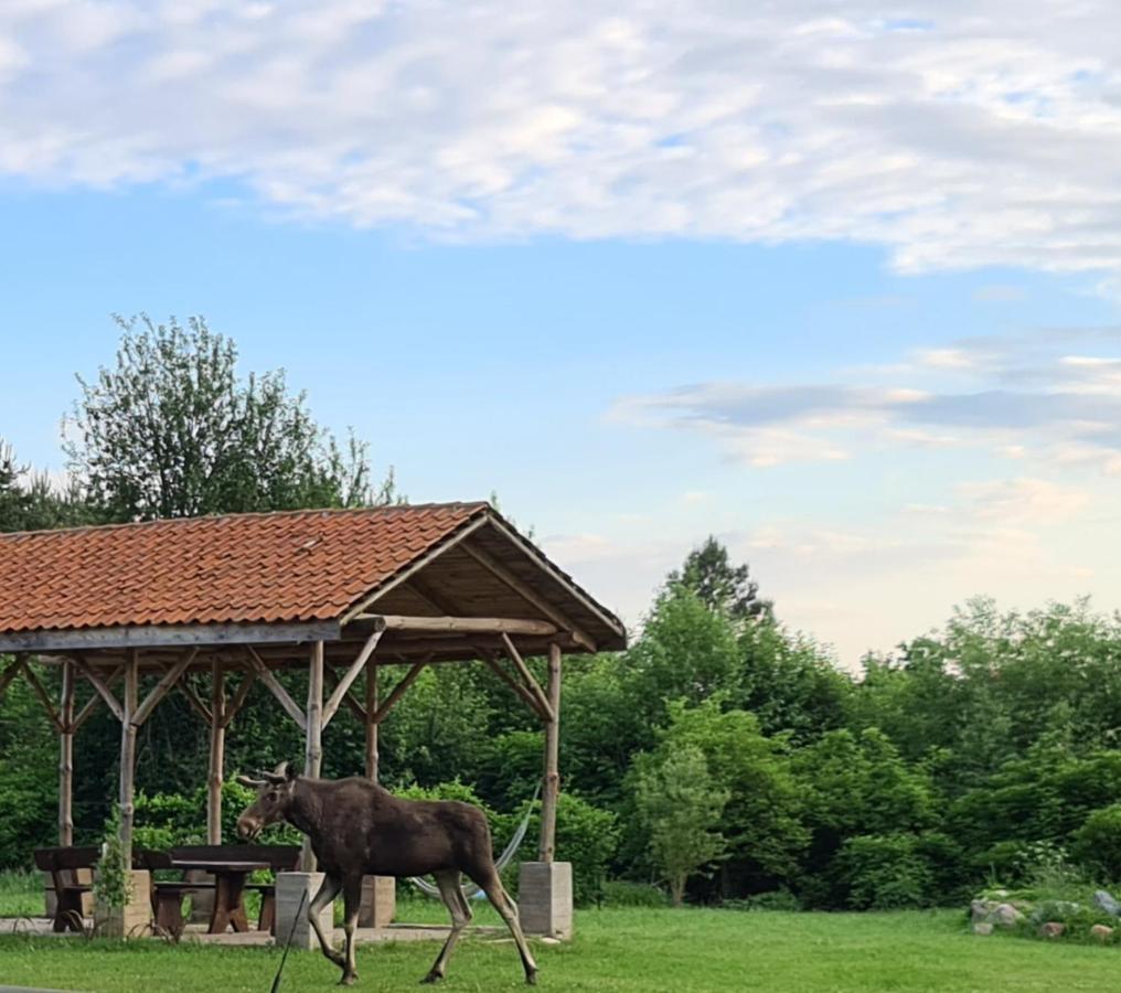 Swojski Gosciniec Prazmowo Bagian luar foto